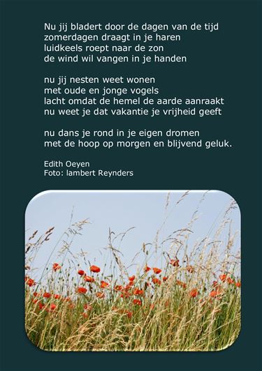Dromen over geluk - Beringen & Leopoldsburg