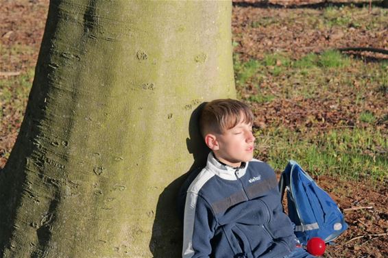 Dromen tussen bomen... - Overpelt