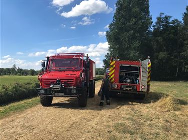 Drukke zomer voor brandweer - Beringen