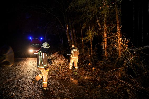 Drukke zondag voor brandweer - Beringen