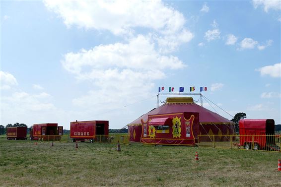 Drukte op Hennemeeuwis - Neerpelt