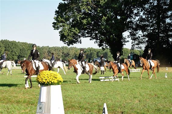 Drukte op LRV-ponykampioenschap - Hechtel-Eksel