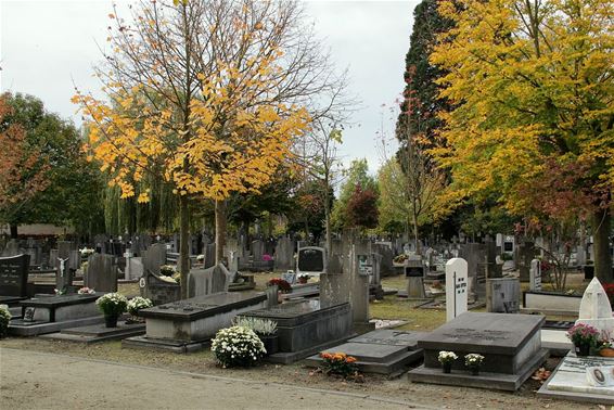 Drukte op 'oud kerkhof' - Neerpelt