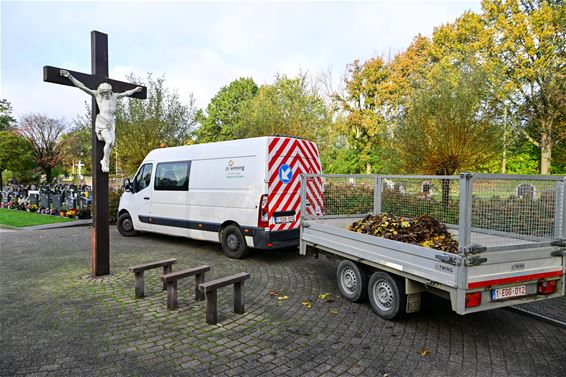 Drukte voor Allerheiligen - Beringen