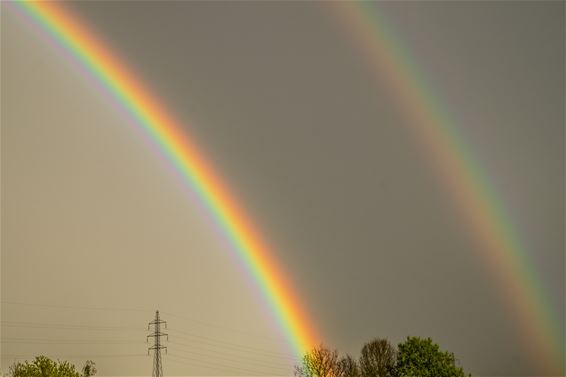 Dubbele regenboog - Overpelt
