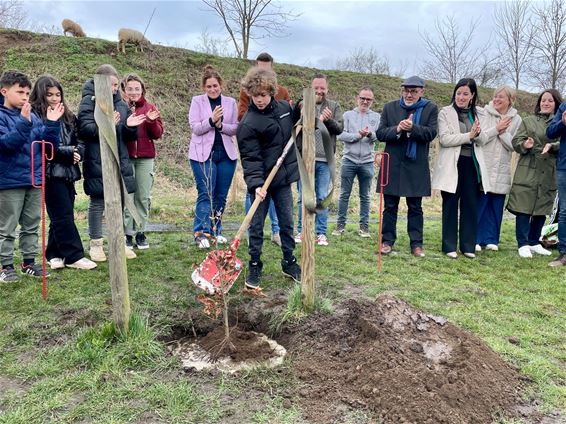 Duitse boom geplant op campus De Beerring - Beringen