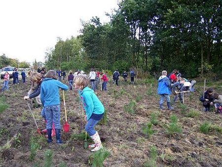 Duizend nieuwe bomen - Lommel