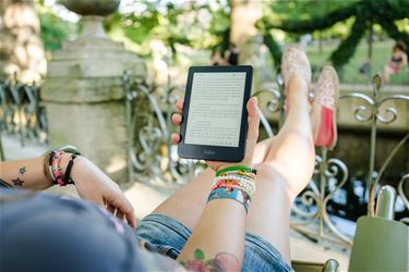 E-books voor op vakantie - Beringen