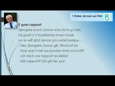 E goei rapport - Pelt