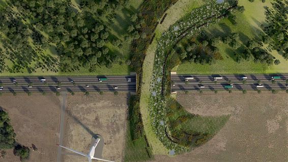 Ecoduct in Lommel, ecovallei in Oudsbergen - Lommel & Oudsbergen