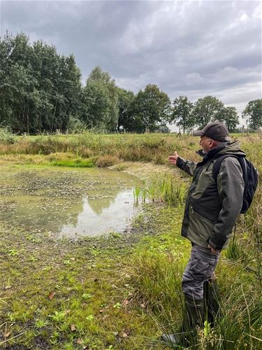 Ecologische stapstenen voor de knoflookpad - Peer