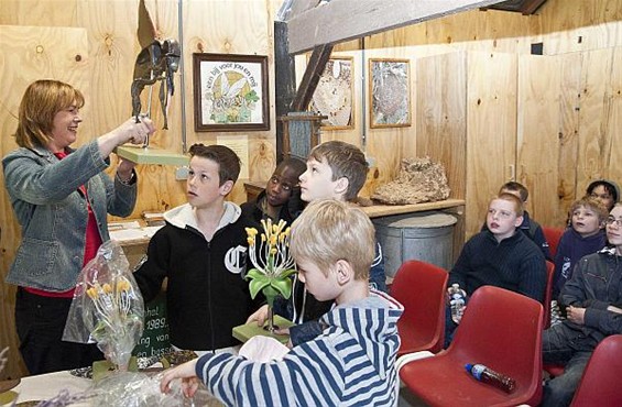 Educatief centrum rond bijen - Lommel