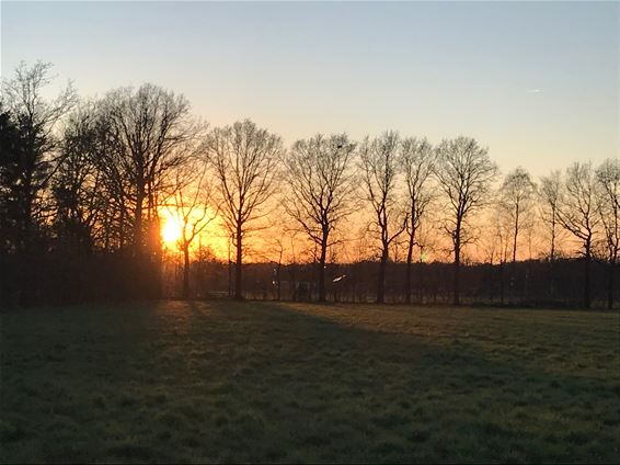 Een aantal knappe natuurfoto's - Lommel
