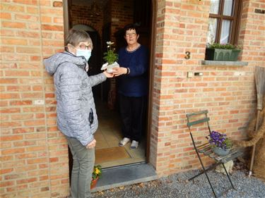 Een attentie voor Moederdag - Beringen