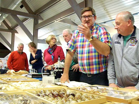 Een bakker kruipt uit zijn schelp - Lommel