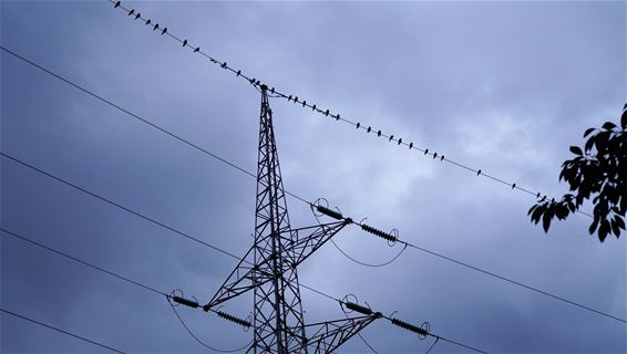 Een bijzonder fenomeen - Lommel