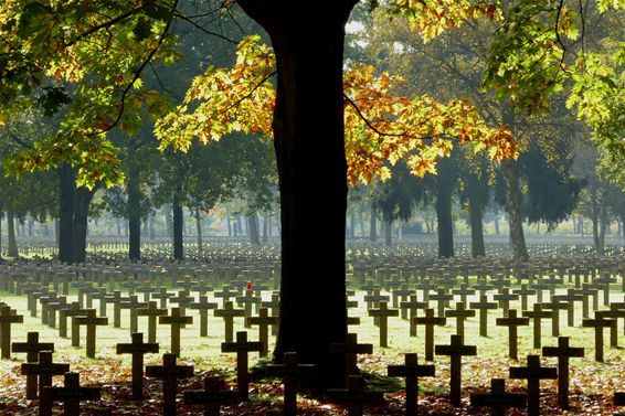 Een bijzondere herfstfoto - Lommel