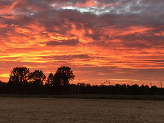 Een bijzondere zonsondergang - Lommel