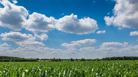 Een blauwe hemel met witte wolken - Lommel