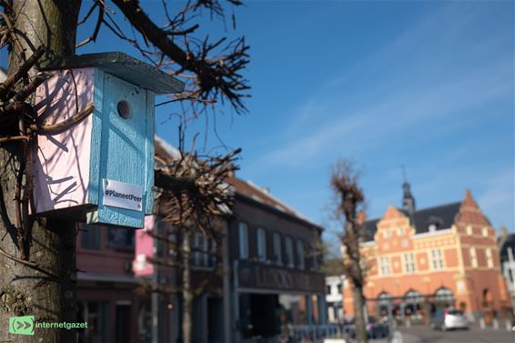 Een blauwe lucht over 'Planeet Peer' - Peer