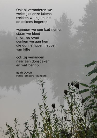 Een donsdeken vol begrip - Beringen & Leopoldsburg
