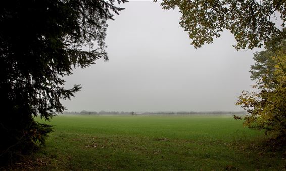 Een doorkijkje in de Elzen - Lommel