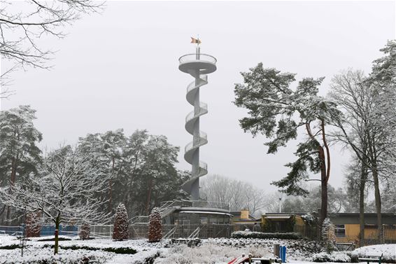 Een dun laagje sneeuw (2) - Beringen