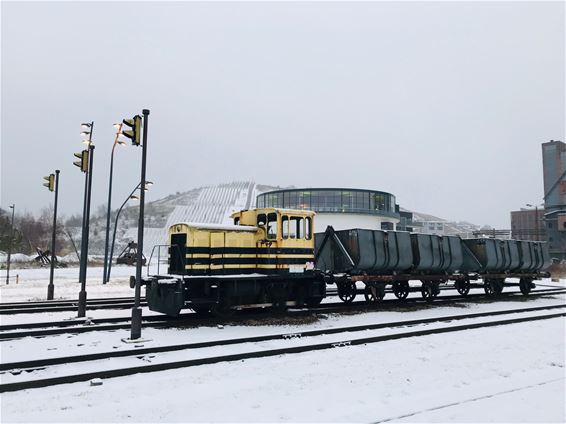 Een dun laagje sneeuw - Beringen