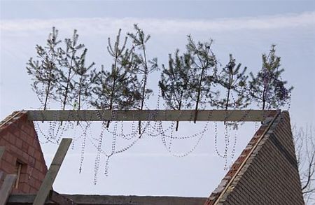 Een dure 'mei' - Neerpelt