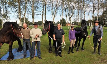 Een echte paardenfluisteraar - Neerpelt