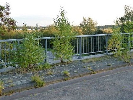 Een 'ecoduct' over de Noord-Zuid - Lommel