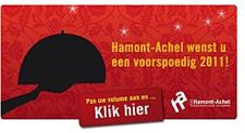 Een elektronische nieuwjaarskaart - Hamont-Achel