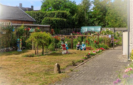 Een erg idyllisch tafereel - Lommel