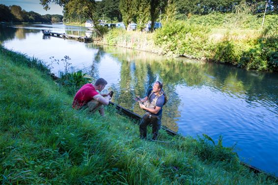 Een erg zonnige Blauwe Kei vandaag - Lommel