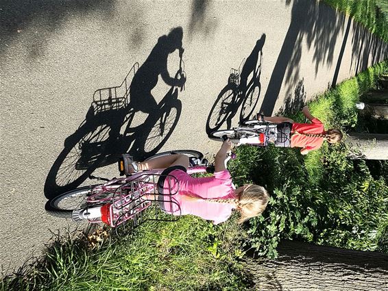 Een fijne fietsdag vandaag - Pelt