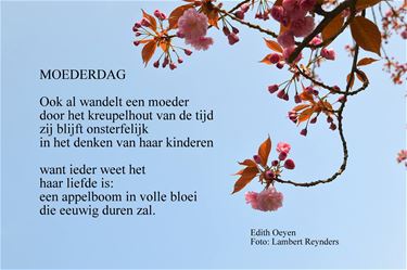 Een fijne Moederdag - Beringen