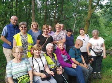 Een fijne ochtendwandeling - Peer