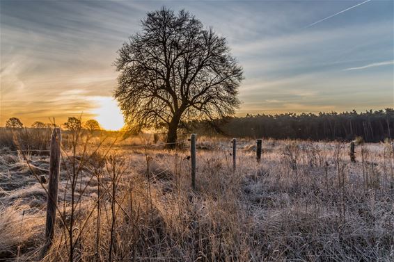 Een foto met veel brrrrrr - Overpelt