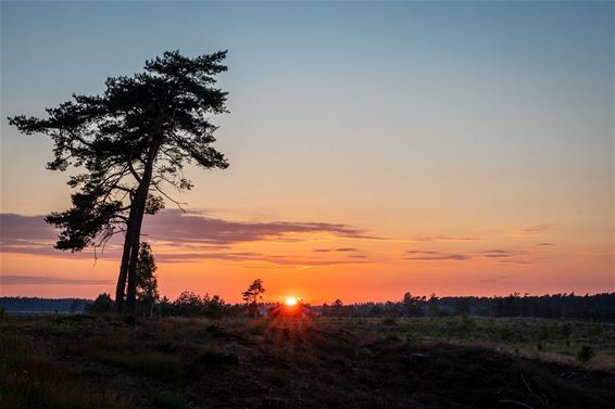 Een fraaie zonsondergang - Lommel