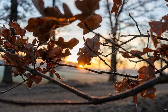 Een fraaie zonsopgang - Bocholt