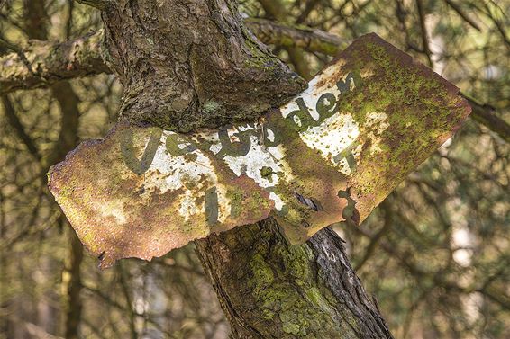 Eén geworden met de natuur - Lommel