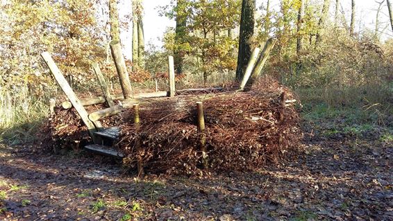 Een gezellig 'nest' achter De Wulp - Pelt