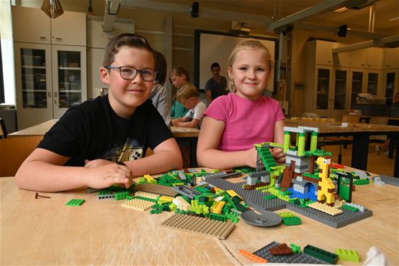 Een giraffenverblijf in Legoblokjes - Lommel