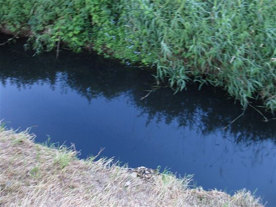 Een gitzwarte Dommel - Pelt