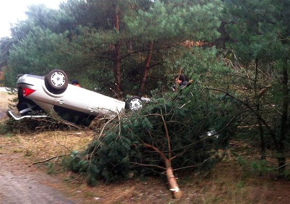 Een goede engelbewaarder - Overpelt