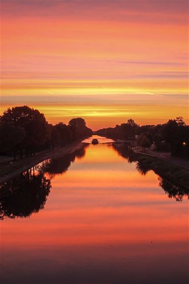 Een gouden ochtend - Neerpelt