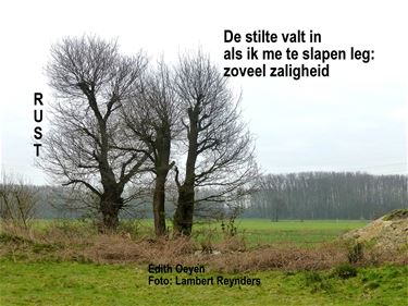 Een haiku over rust - Beringen