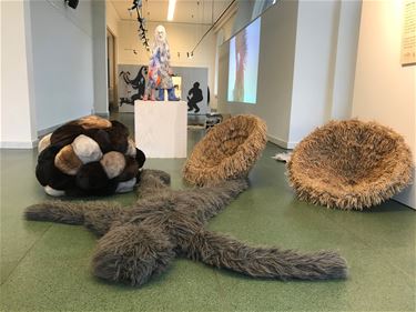 Een harige tentoonstelling - Beringen