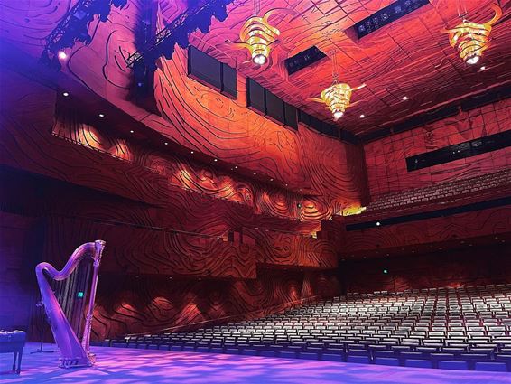 Een harp in een concertzaal - Peer