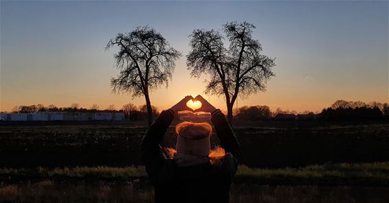 Een hart voor Beringen! - Beringen